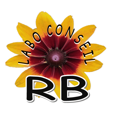 Logo Labo Conseil RB